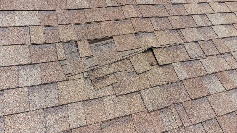 Leak Sealing and Shingle Replacement
