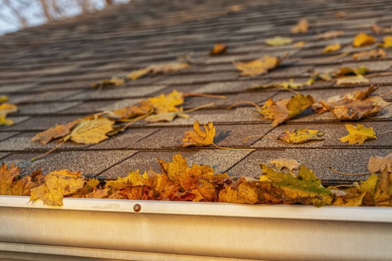 Roofing Service in Fall